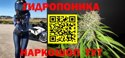 сатива Заволжье