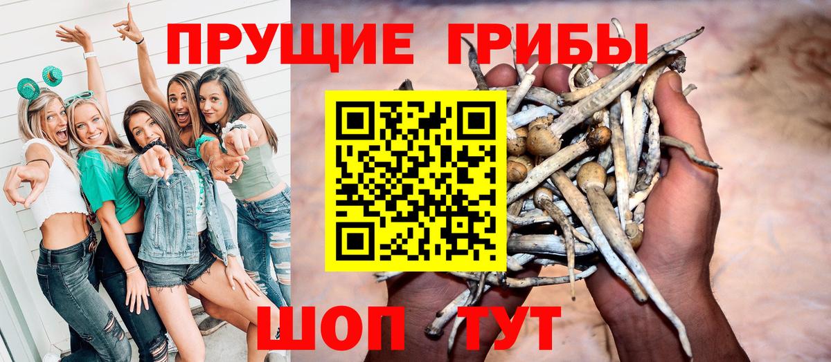 Галлюциногенные грибы GOLDEN TEACHER Кыштым